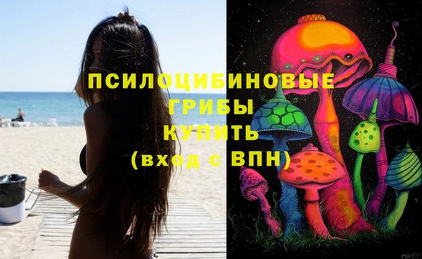 кокс Арсеньев