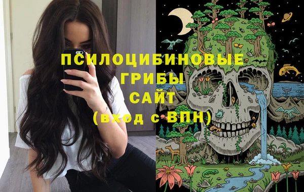 мдпв Новокубанск